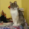 Отзыв от Галина Рудакова